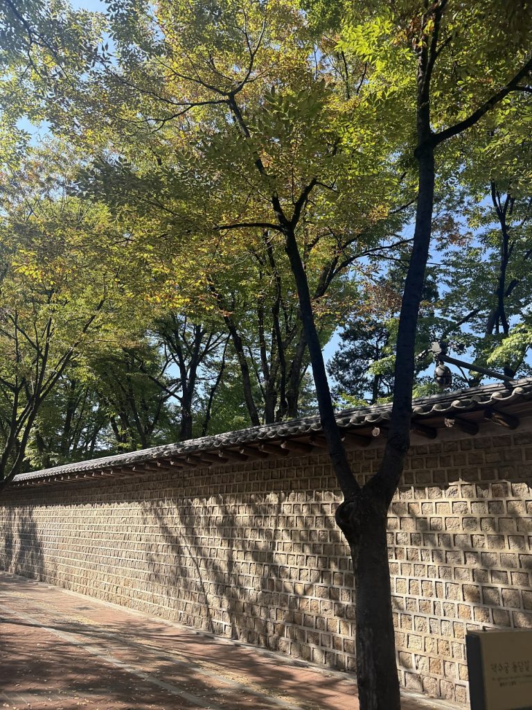 Deoksugung stone-wall road lined with trees