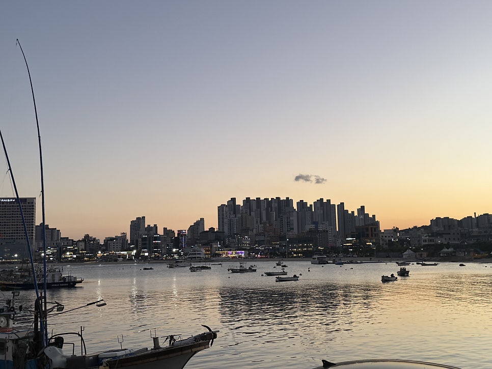 Ilsan Fish Market, Ulsan: Fresh Sashimi at Sunset, Right by the Sea