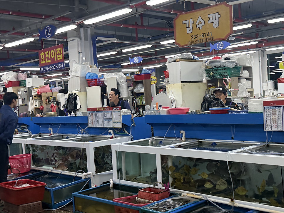 Numbered stalls and fish tanks at Ilsan Fish Market