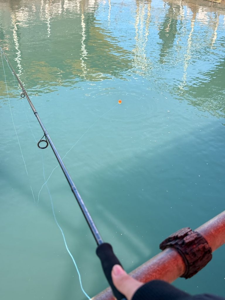 Short rental rods for platform fishing