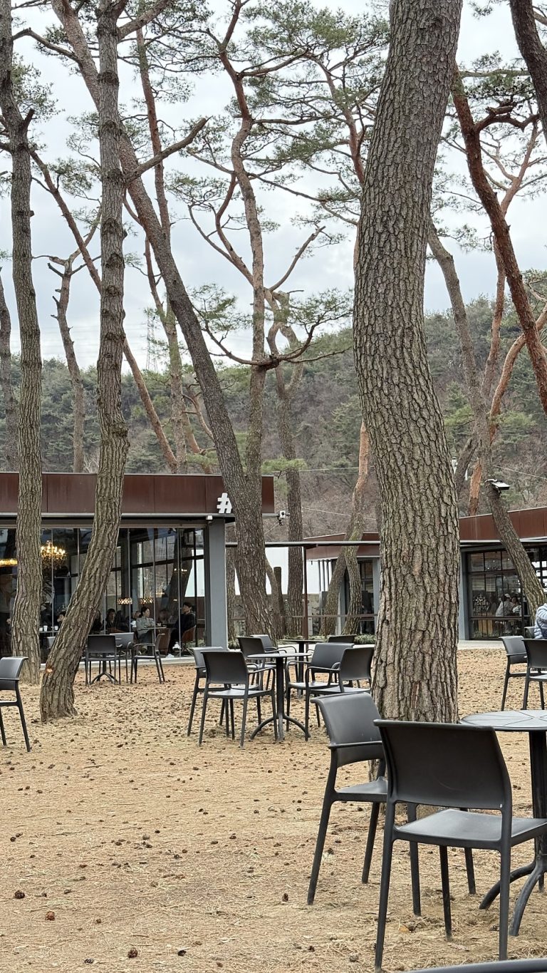 Soul Roastery, Chuncheon: Coffee Under 500 Century-Old Pine Trees