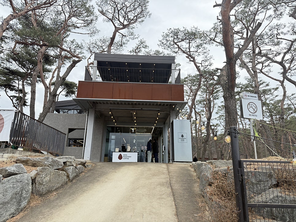 Pine trees at the entrance to Soul Roastery